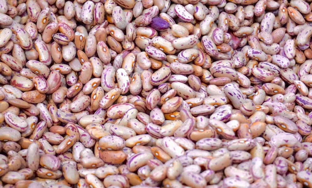 screenshot 2026 05 17 at 12 39 20 sugar beans 1536x885 1.jpeg (jpeg image 1536 × 885 pixels) — scaled (77%)