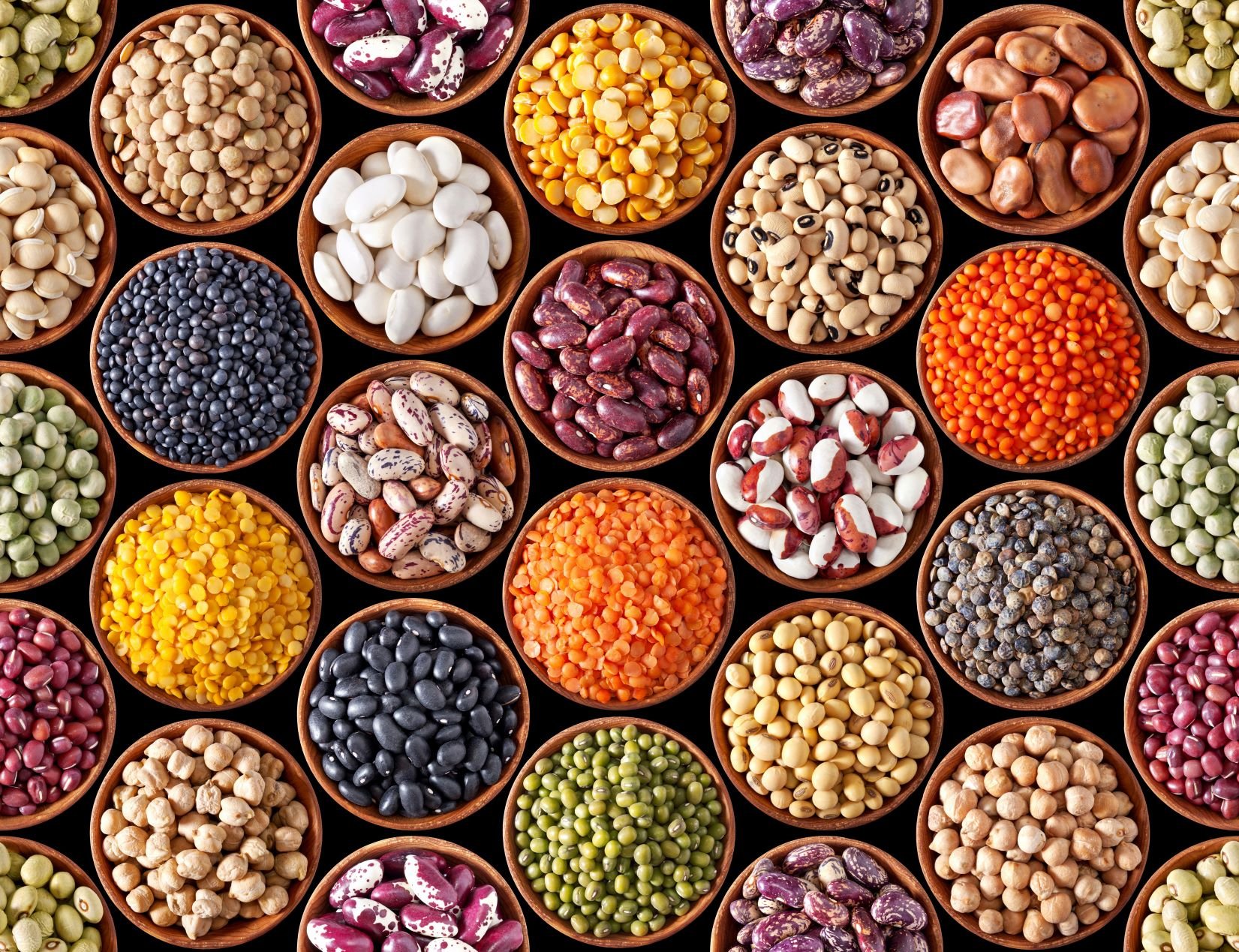 social+beans